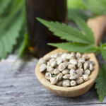 Nasiona konopi a prawo w Polsce – co warto wiedzieć?