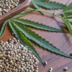 Granice legalności: kiedy sprzedaż nasion marihuany może zostać uznana za promowanie nielegalnej uprawy?